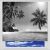 Black and White Tropical Beach Digitally Printed Photo Roller Blind