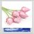 Pink Lotus Flowers Digitally Printed Photo Roller Blind
