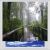 Rain Forest Digitally Printed Photo Roller Blind