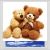 Teddy Bears Digitally Printed Photo Roller Blind