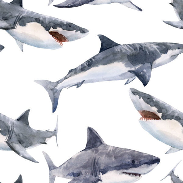 Sharks Digitally Printed Photo Roller Blind