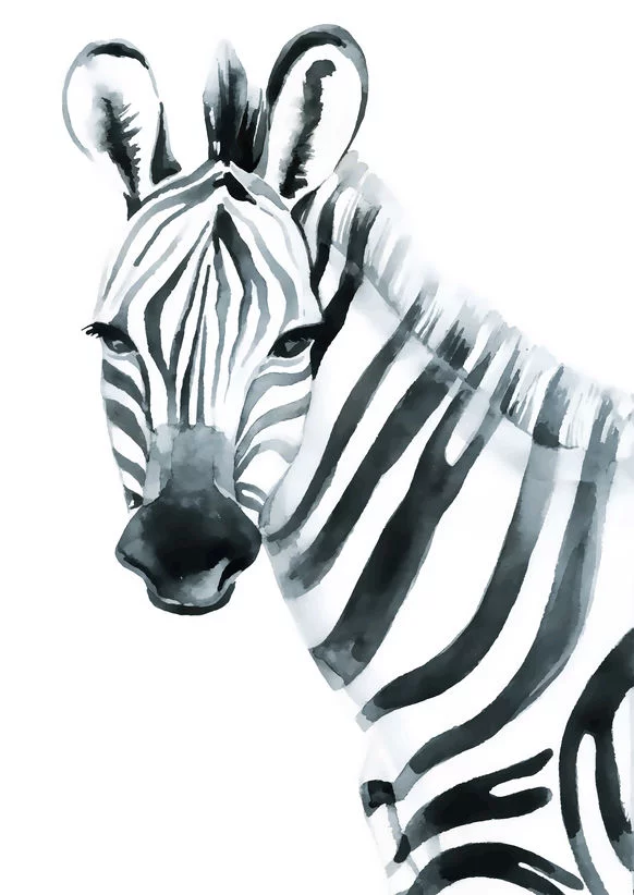 Zebra Digitally Printed Photo Roller Blind