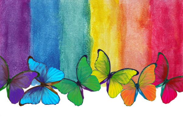 Rainbow Butterflies Digitally Printed Photo Roller Blind