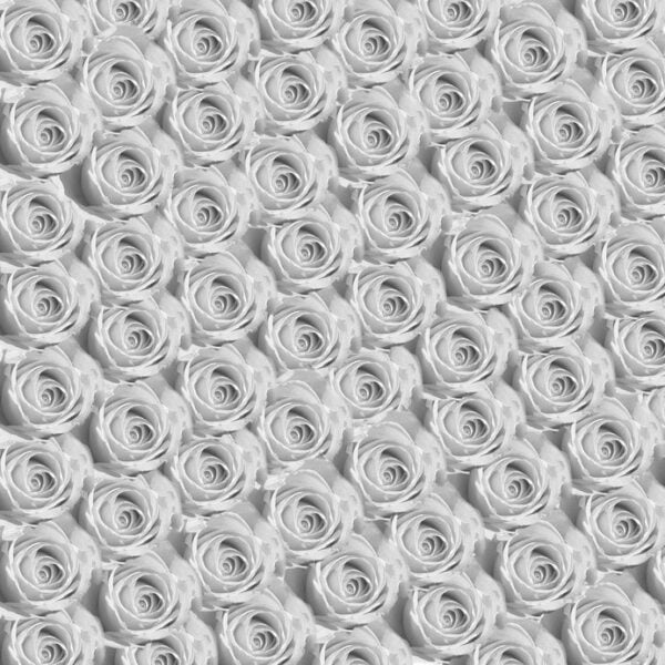 Roses Digitally Printed Photo Roller Blind