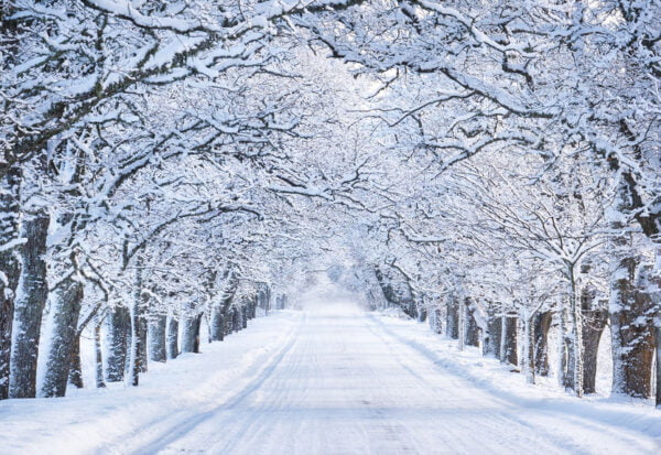 Winter Landscape Digitally Printed Photo Roller Blind
