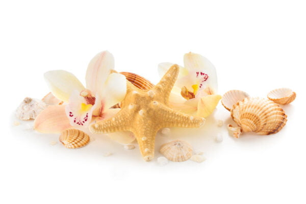 Seashells and Orchids Digitally Printed Photo Roller Blind