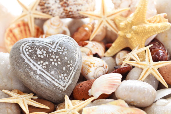 Heart Seashells Digitally Printed Photo Roller Blind