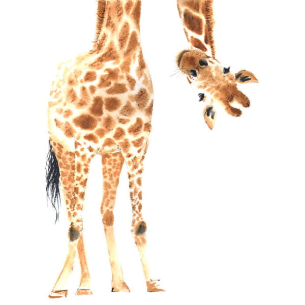 Peek A Boo Giraffe Digitally Printed Photo Roller Blind