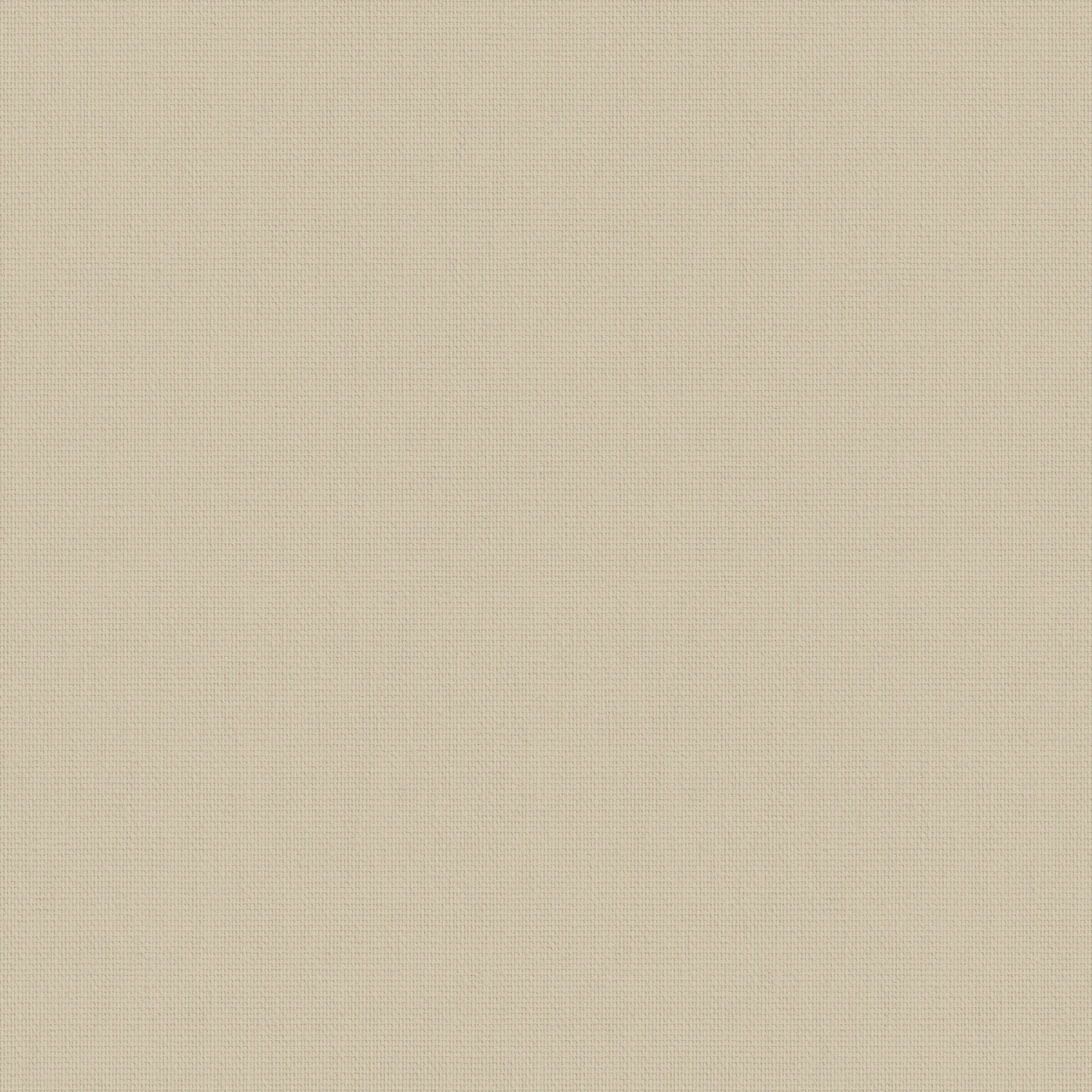 Bella Beige blackout blind