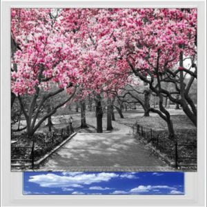 Central Park Digitally Printed Photo Roller Blind
