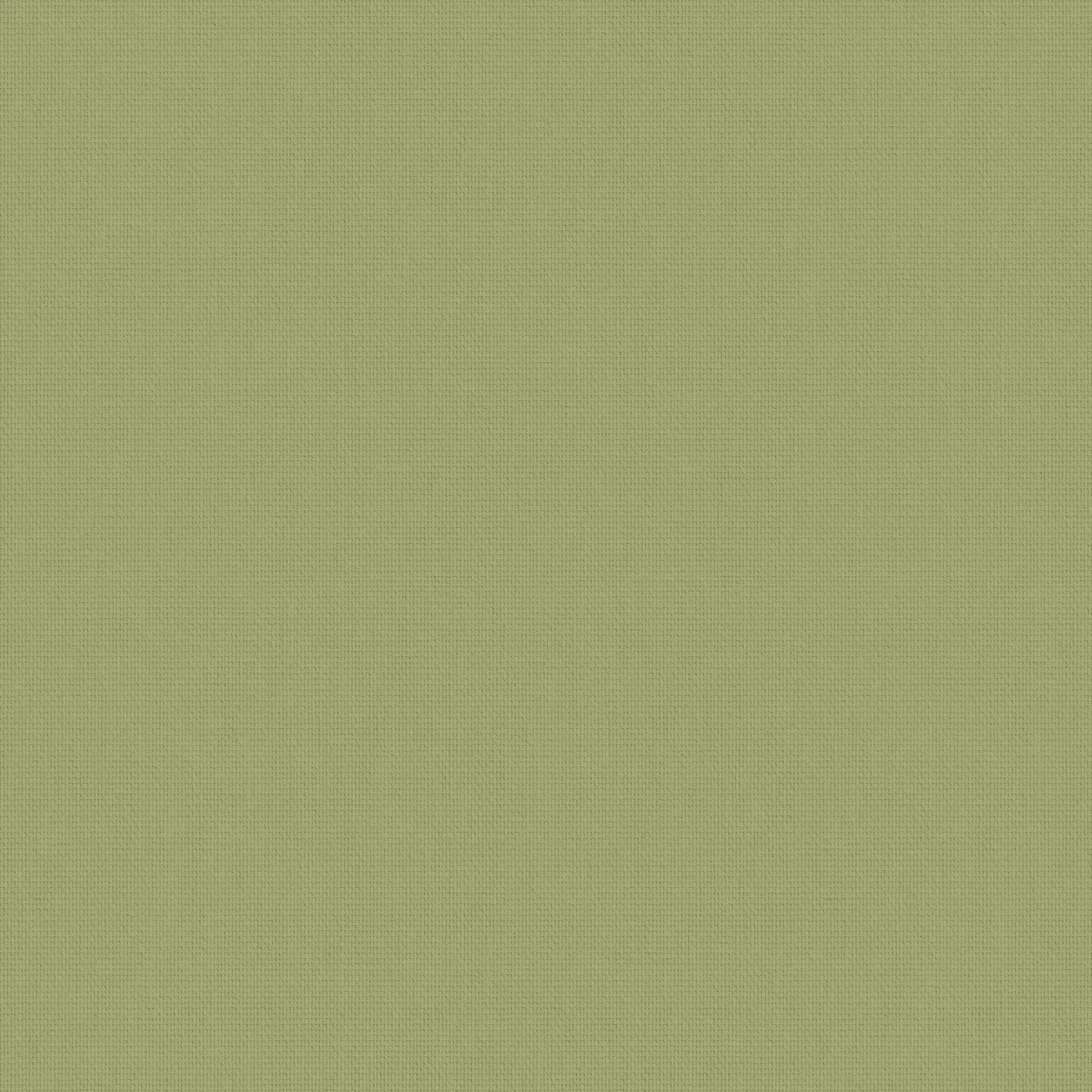 Bella Glade Blackout Blind