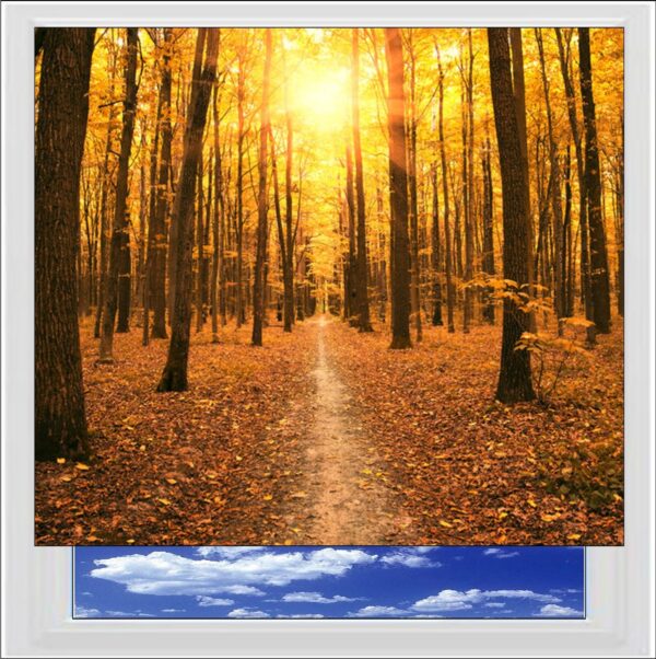 Autumn Forest Digitally Printed Photo Roller Blind