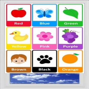 Basic Colours Digitally Printed Photo Roller Blind