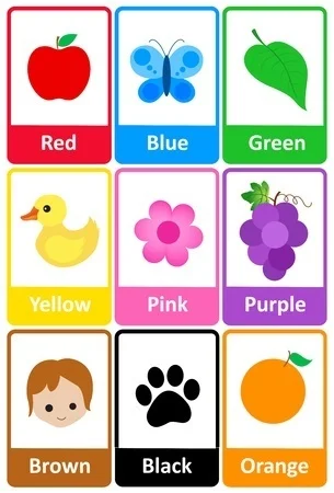 Basic Colours Digitally Printed Photo Roller Blind - Image 2