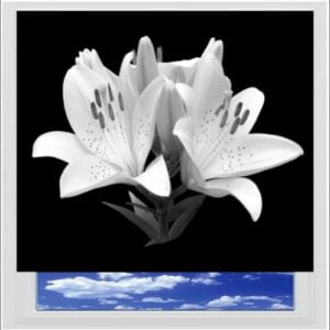 Black and White Lily Digitally Printed Photo Roller Blind