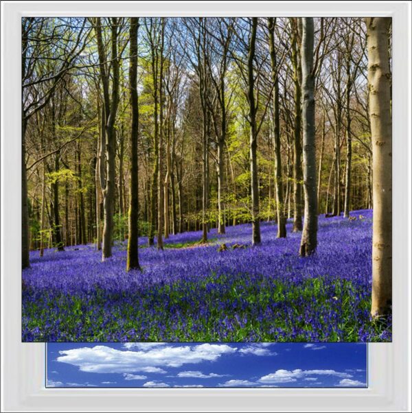 Bluebell Forest Digitally Printed Photo Roller Blind