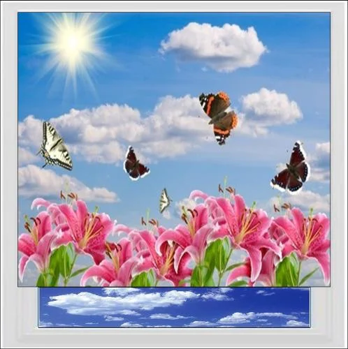 Butterflies and Pink Lilies Digitally Printed Photo Roller Blind