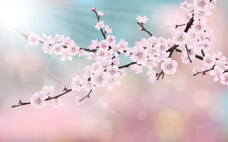 Cherry Tree Blossom Digitally Printed Photo Roller Blind