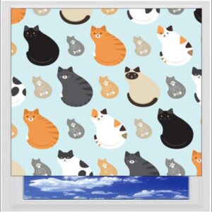 Fat Cats Digitally Printed Photo Roller Blind