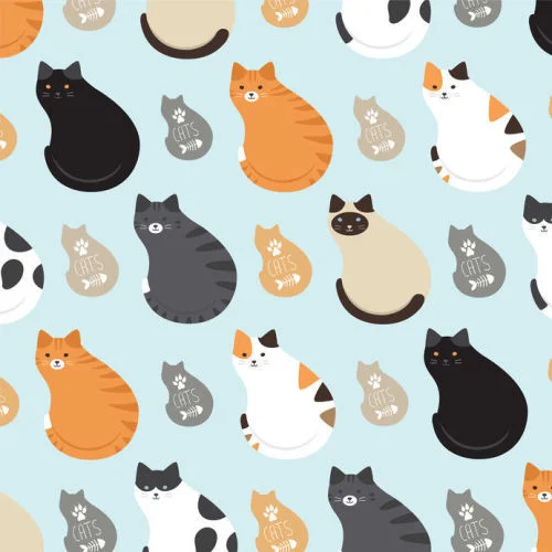 Fat Cats Digitally Printed Photo Roller Blind - Image 2
