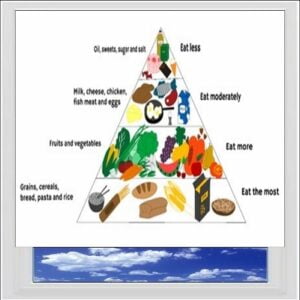 Food Diagram Digitally Printed Photo Roller Blind