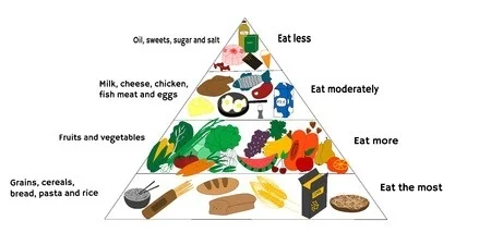 Food Diagram Digitally Printed Photo Roller Blind - Image 2