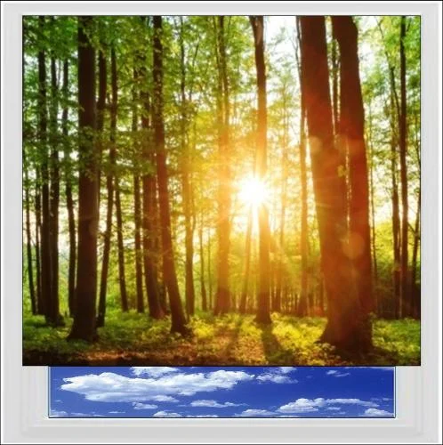 Forest Sunset Digitally Printed Photo Roller Blind