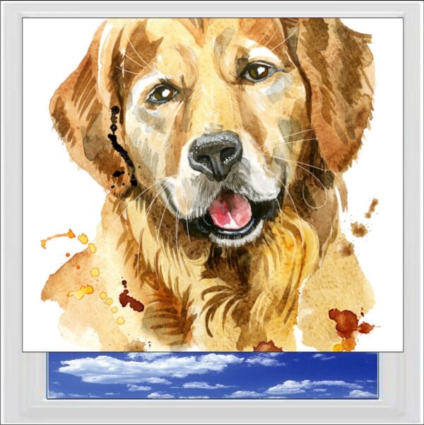 Golden Retriever Digitally Printed Photo Roller Blind