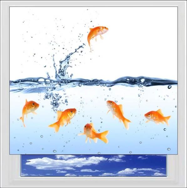 Goldfish Digitally Printed Photo Roller Blind