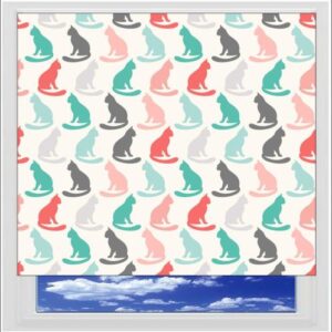 Kitty Cats Digitally Printed Photo Roller Blind