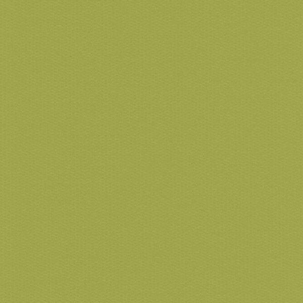 Unilux Lime PVC Blind