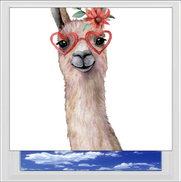 Llama Digitally Printed Photo Roller Blind