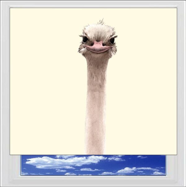 Ostrich Digitally Printed Photo Roller Blind