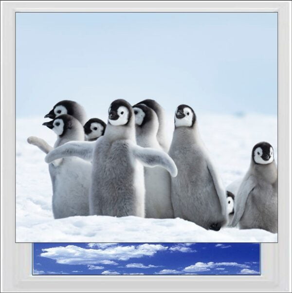 Penguin Chicks Digitally Printed Photo Roller Blind