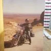 Personalised Digitally Printed Photo Roller Blind Made For Customer