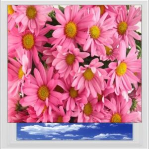 Pink Daisies Digitally Printed Photo Roller Blind