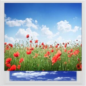 Poppy Meadow Digitally Printed Photo Roller Blind