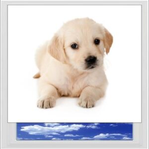 Puppy Dog Digitally Printed Photo Roller Blind