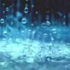 Rain Drops Digitally Printed Photo Roller Blind - Image 2