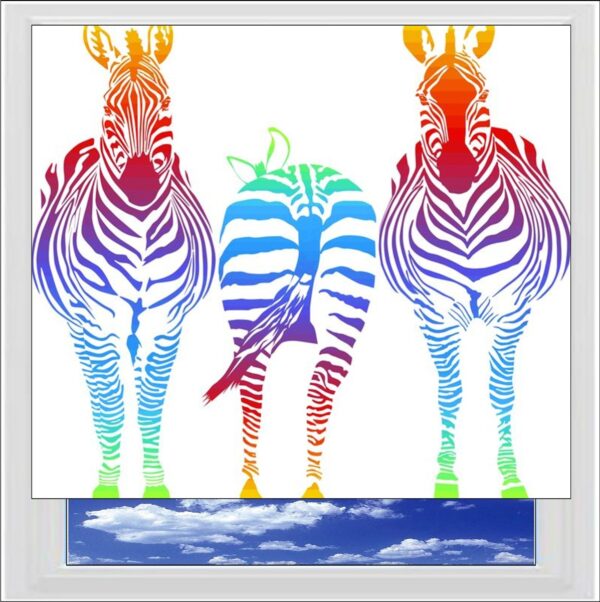 Rainbow Zebra Digitally Printed Photo Roller Blind