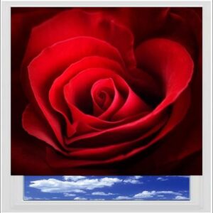Rose Digitally Printed Photo Roller Blind