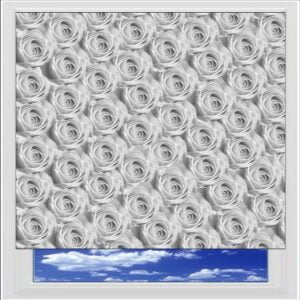 Roses Digitally Printed Photo Roller Blind