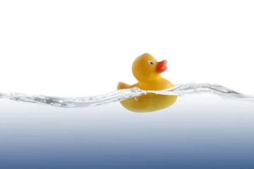 Rub A Dub Duck Digitally Printed Photo Roller Blind - Image 2