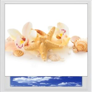 Seashells and Orchids Digitally Printed Photo Roller Blind