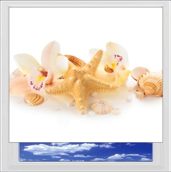 Seashells and Orchids Digitally Printed Photo Roller Blind