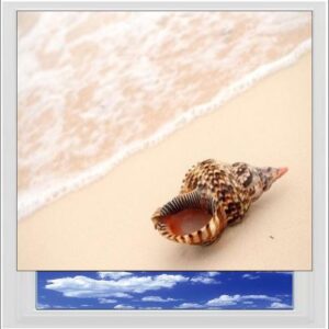 Shell On Beach Digitally Printed Photo Roller Blind