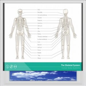 Skeleton Digitally Printed Photo Roller Blind