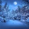 Snow Wood At Night Digitally Printed Photo Roller Blind - Image 2