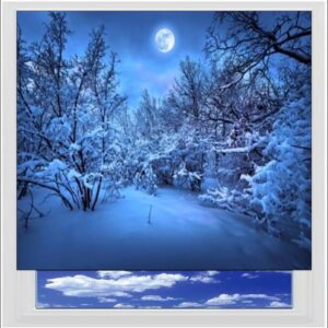 Snow Wood At Night Digitally Printed Photo Roller Blind