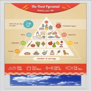 The Food Pyramid Digitally Printed Photo Roller Blind